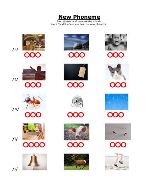 Learn Reading Workbook 1 + Dyslexia Screening Kit