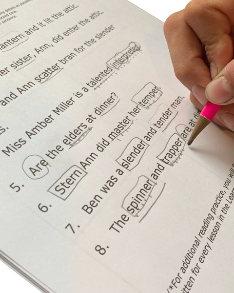 Learn Reading Workbook 5